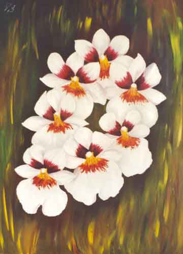 blume2.jpg