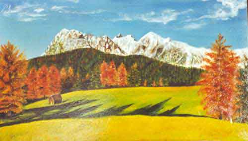 natur14