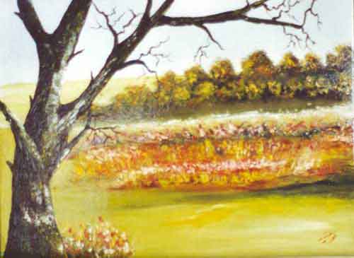 natur15