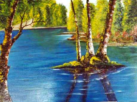 natur6