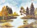 natur11