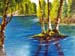 natur6