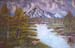 natur7